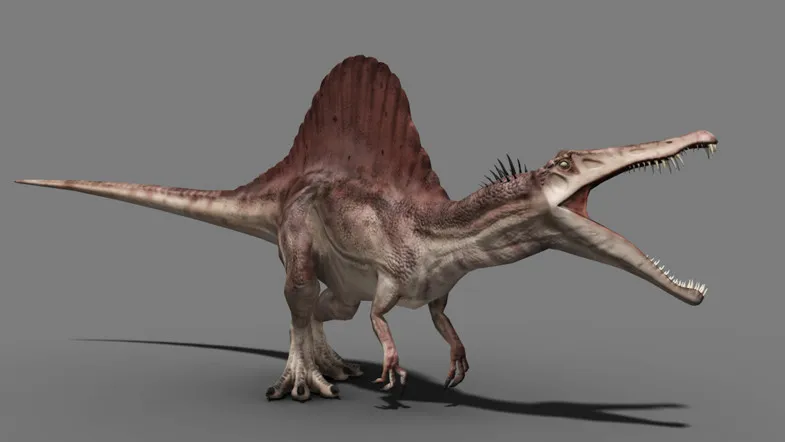 Dinosaur pack, image 9
