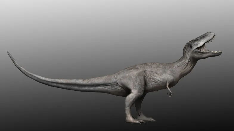 Dinosaur pack, image 8