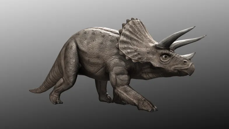 Dinosaur pack, image 14