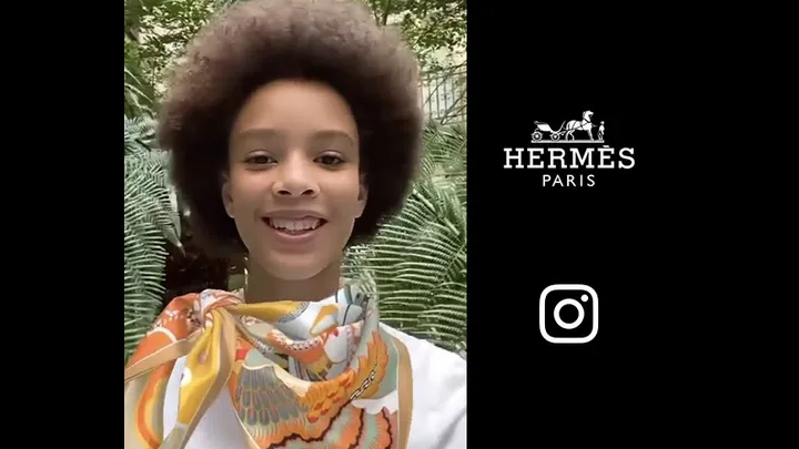 Hermes Insta filter